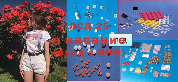 ECSTASY Алзамай