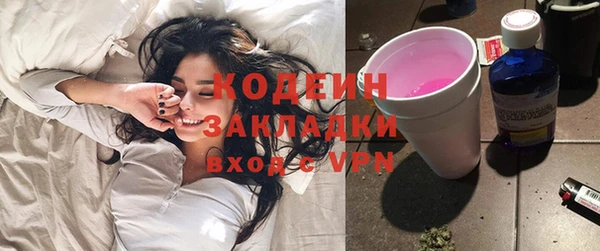 ECSTASY Алзамай