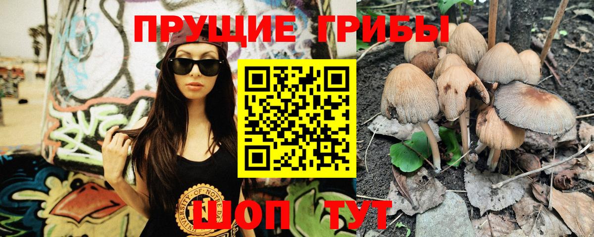 Псилоцибиновые грибы Psilocybe  Вход с VPN  Апатиты 